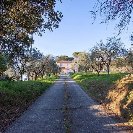 Couette-café La Camelia Bianca 3*