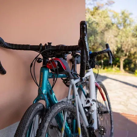 La Camelia Bianca 3*