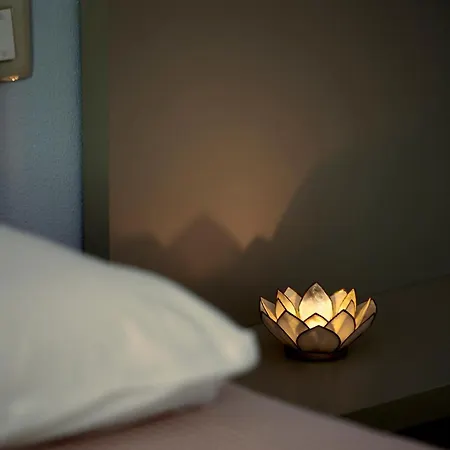 Bed and Breakfast La Camelia Bianca 3*