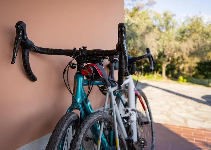 La Camelia Bianca 3*